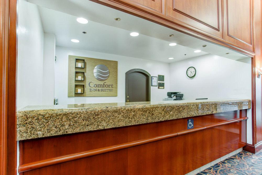Comfort Inn & Suites San Francisco Airport North Саут-Сан-Франциско Екстер'єр фото