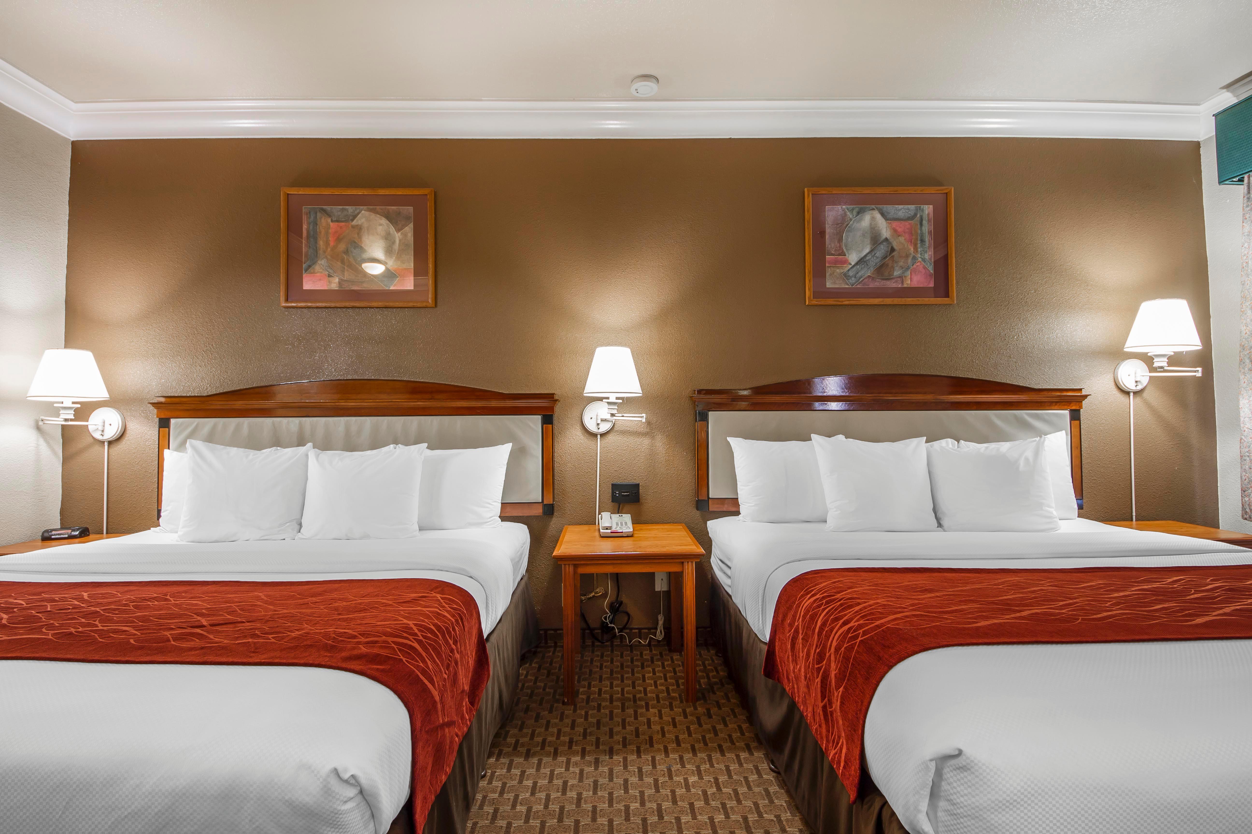 Comfort Inn & Suites San Francisco Airport North Саут-Сан-Франциско Екстер'єр фото