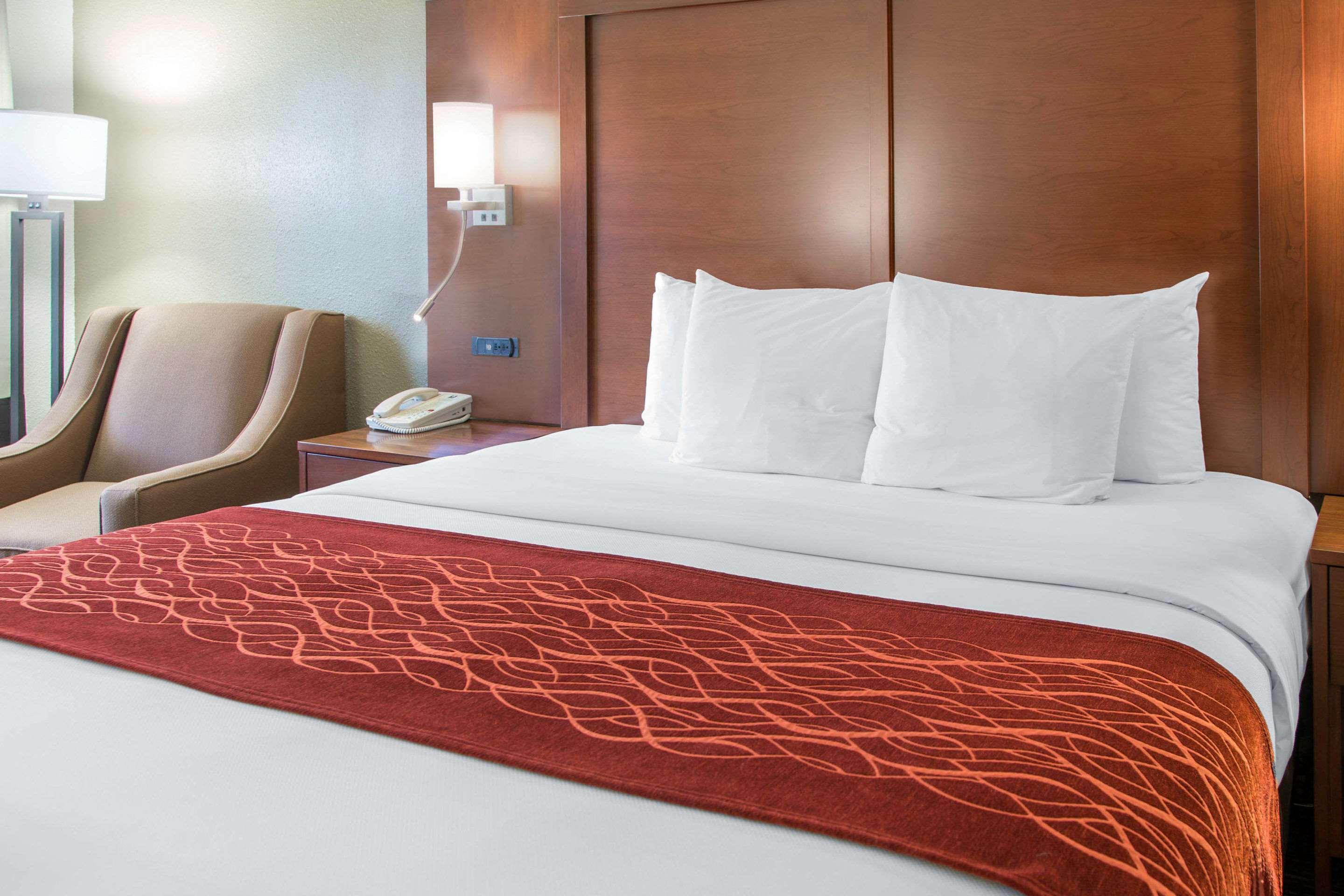 Comfort Inn & Suites San Francisco Airport North Саут-Сан-Франциско Екстер'єр фото