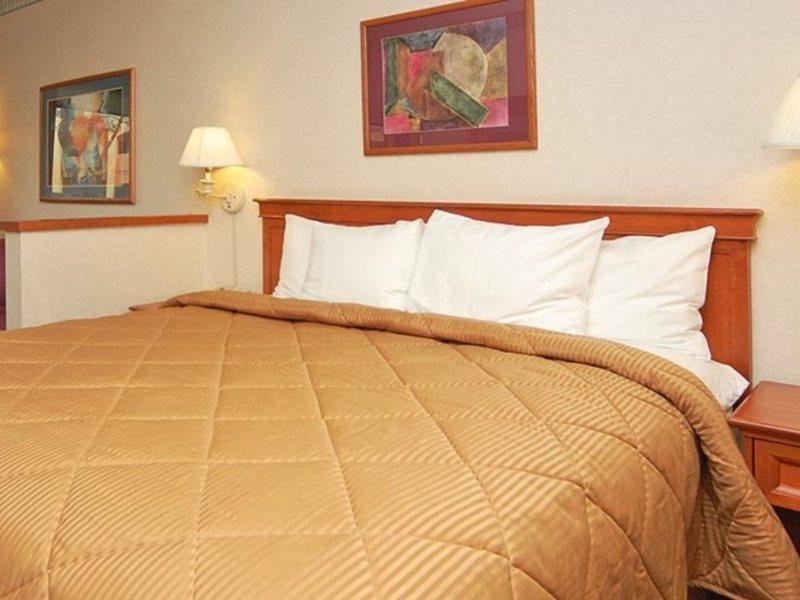 Comfort Inn & Suites San Francisco Airport North Саут-Сан-Франциско Екстер'єр фото
