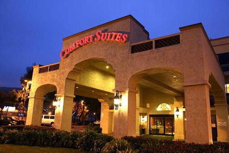 Comfort Inn & Suites San Francisco Airport North Саут-Сан-Франциско Екстер'єр фото