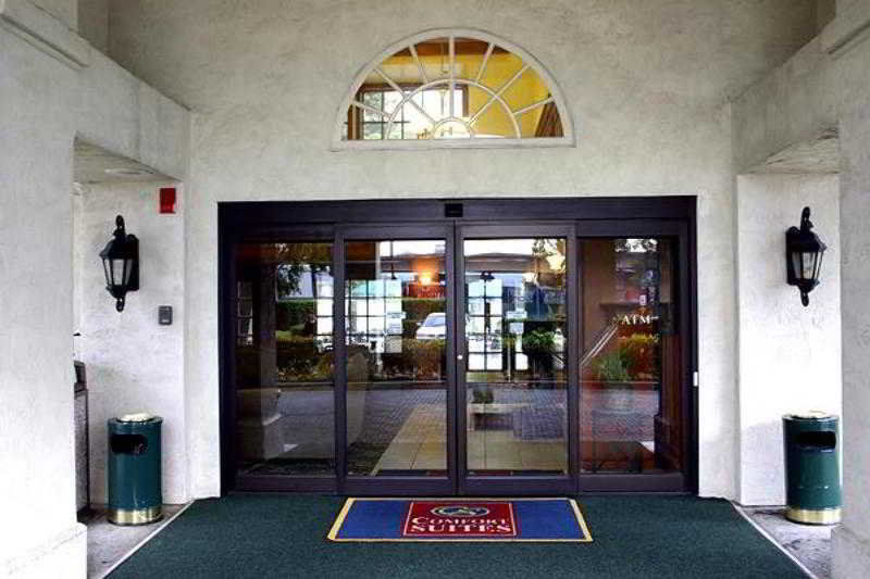 Comfort Inn & Suites San Francisco Airport North Саут-Сан-Франциско Екстер'єр фото
